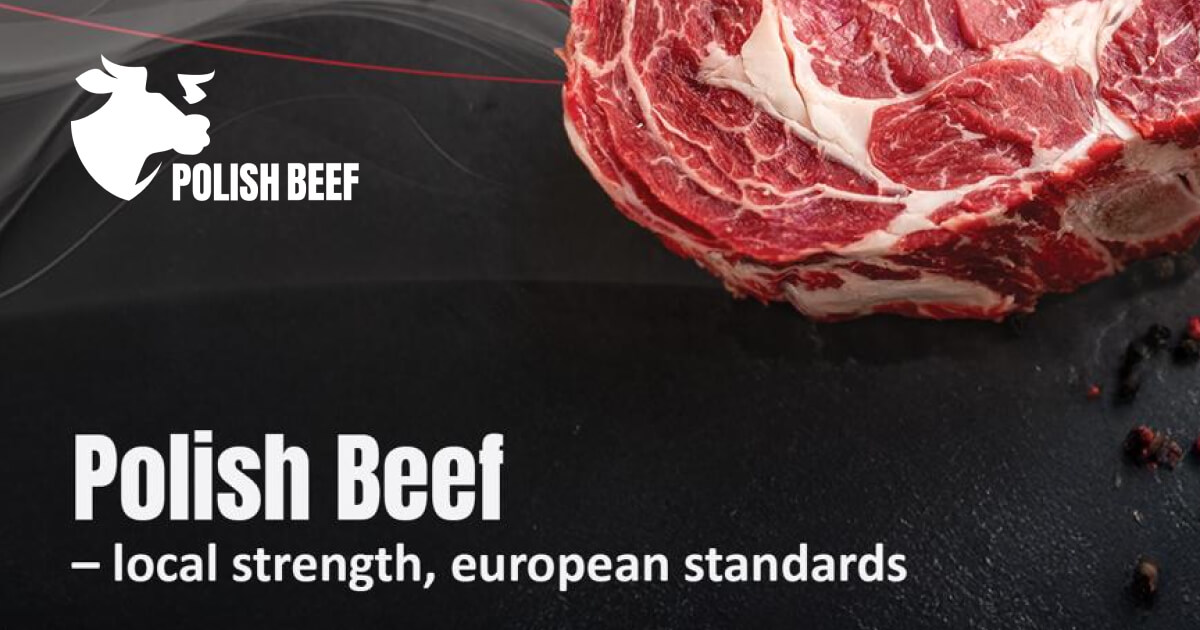 Strona główna - Polish beef